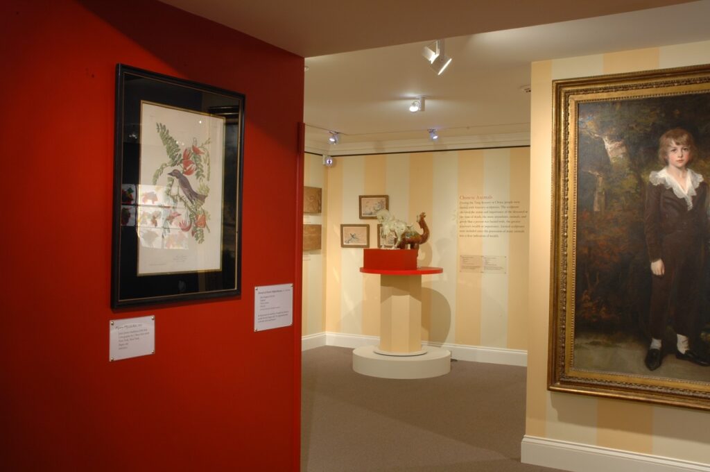 Display with various prints and paintings