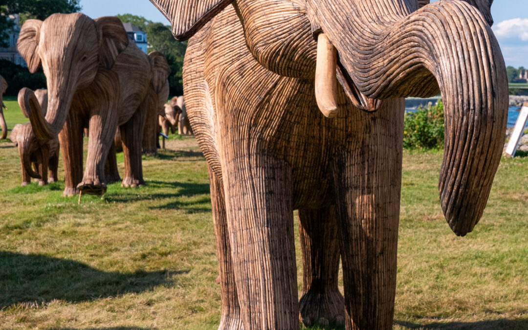 Sensory-Friendly Morning with the Elephants